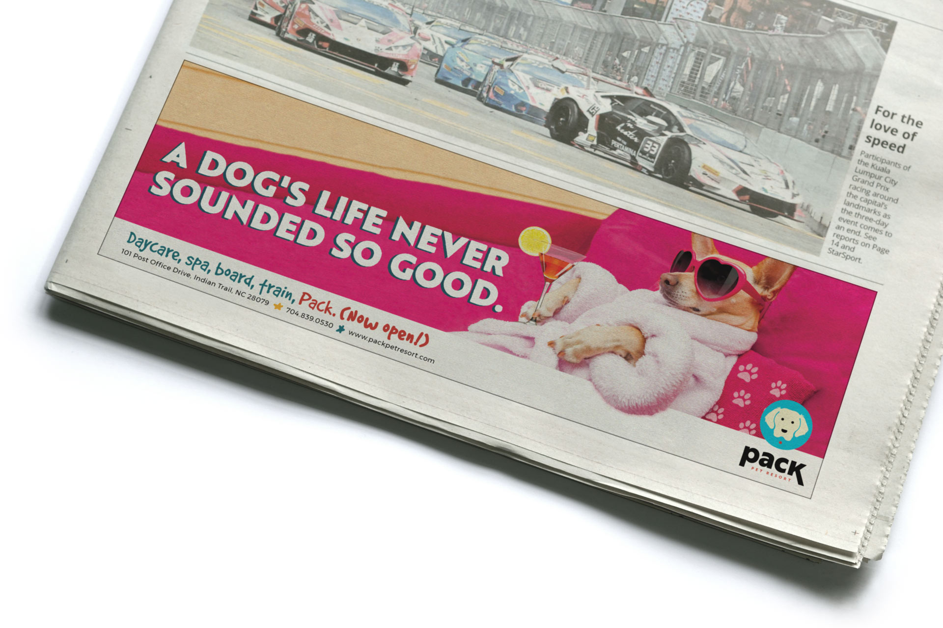 Pack Pet Resort Print Ad