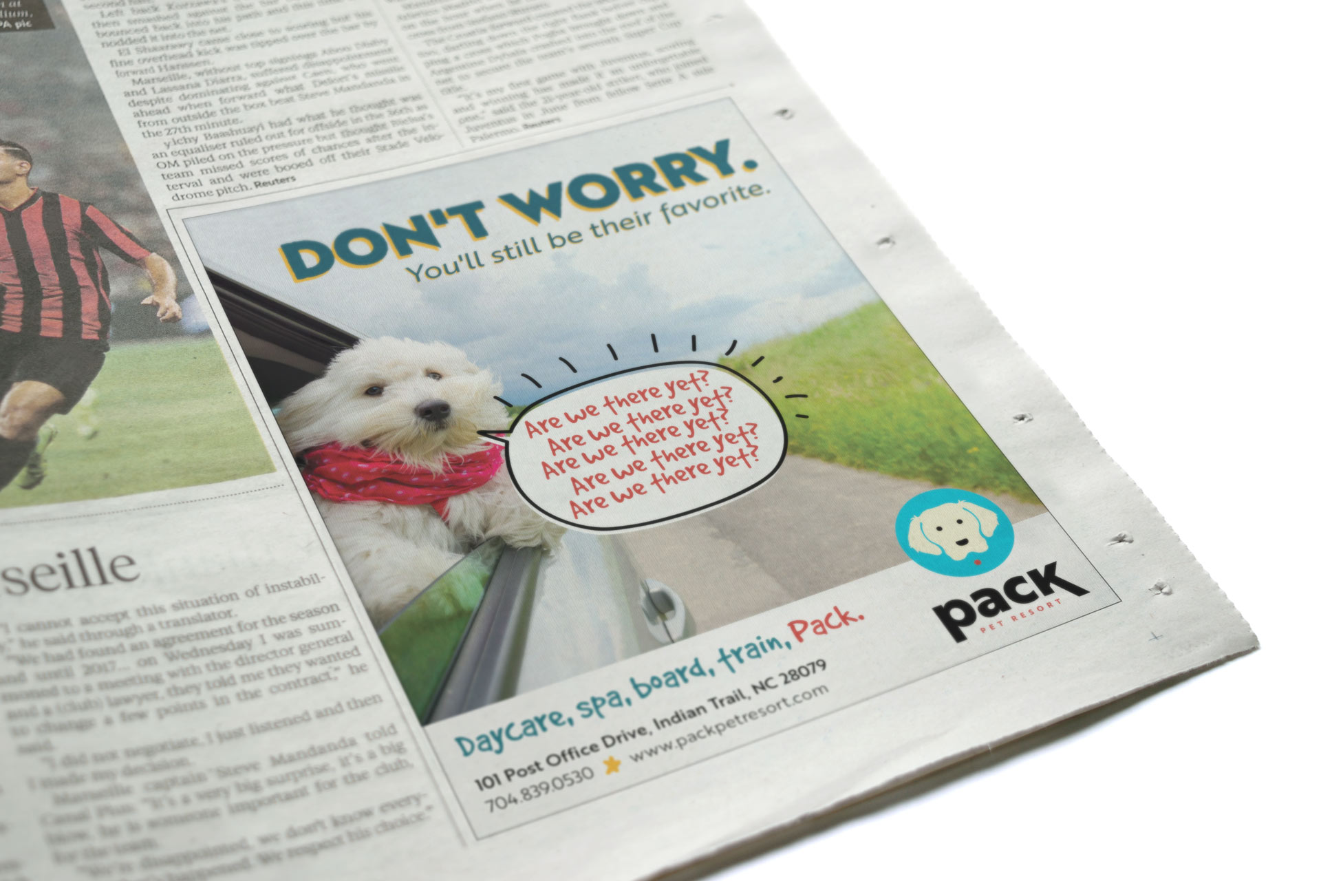 Pack Pet Resort Print Ad